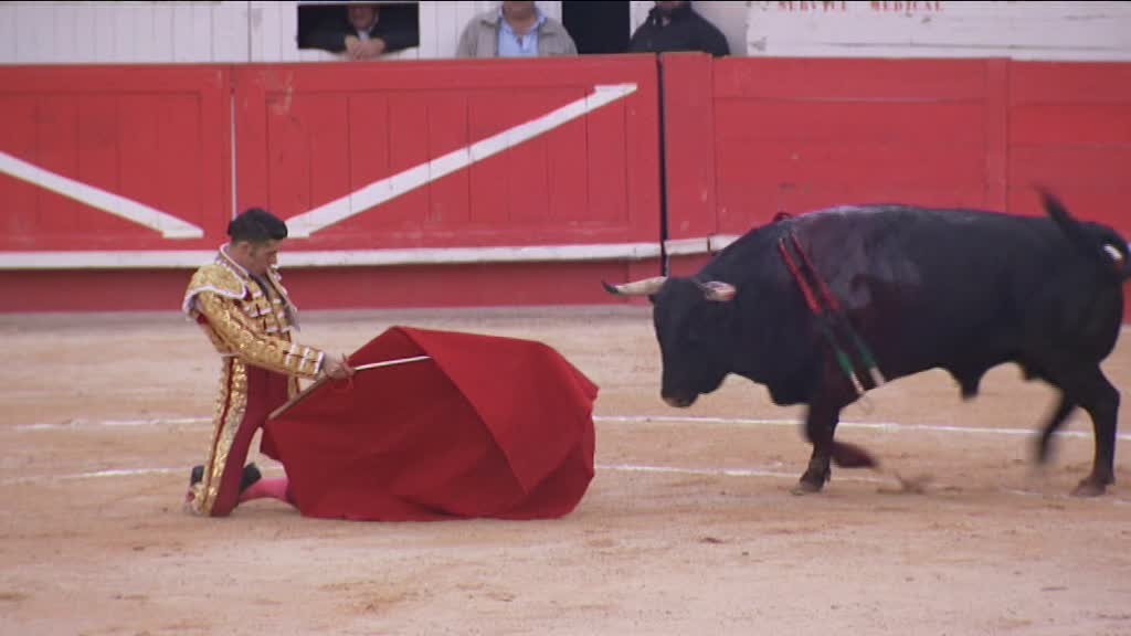 ©SDT-Alejandro Talavante- Féria des Vendanges-Nîmes 2016