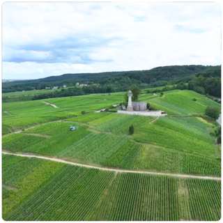 FTV - Vignobles Champenois