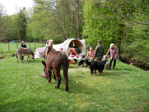 un camping pas comme les autres à melisey