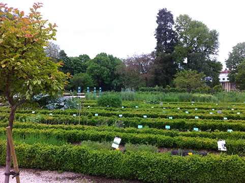 Le jardin des sciences de Dijon