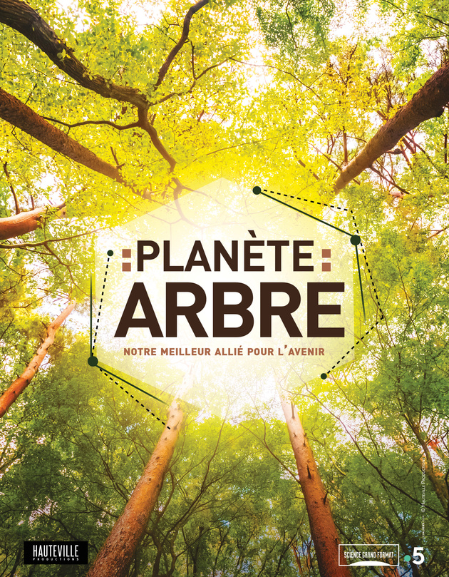 PLANETE ARBRE