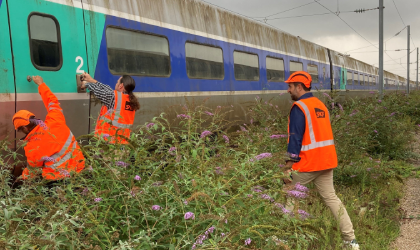 Réseau d'enquêtes - là où vont mourir les trains et les bateaux