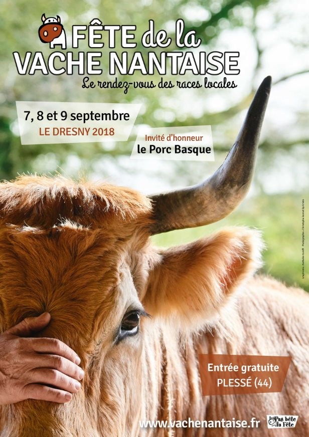 La vache nantaise