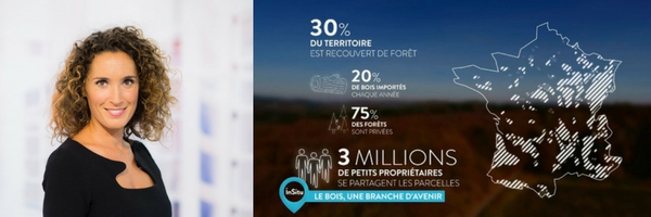 MS LACARRAU ET INFOGRAPHIE