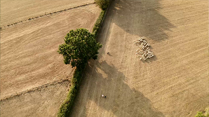 Le sens de la terre  ©AMDA Production