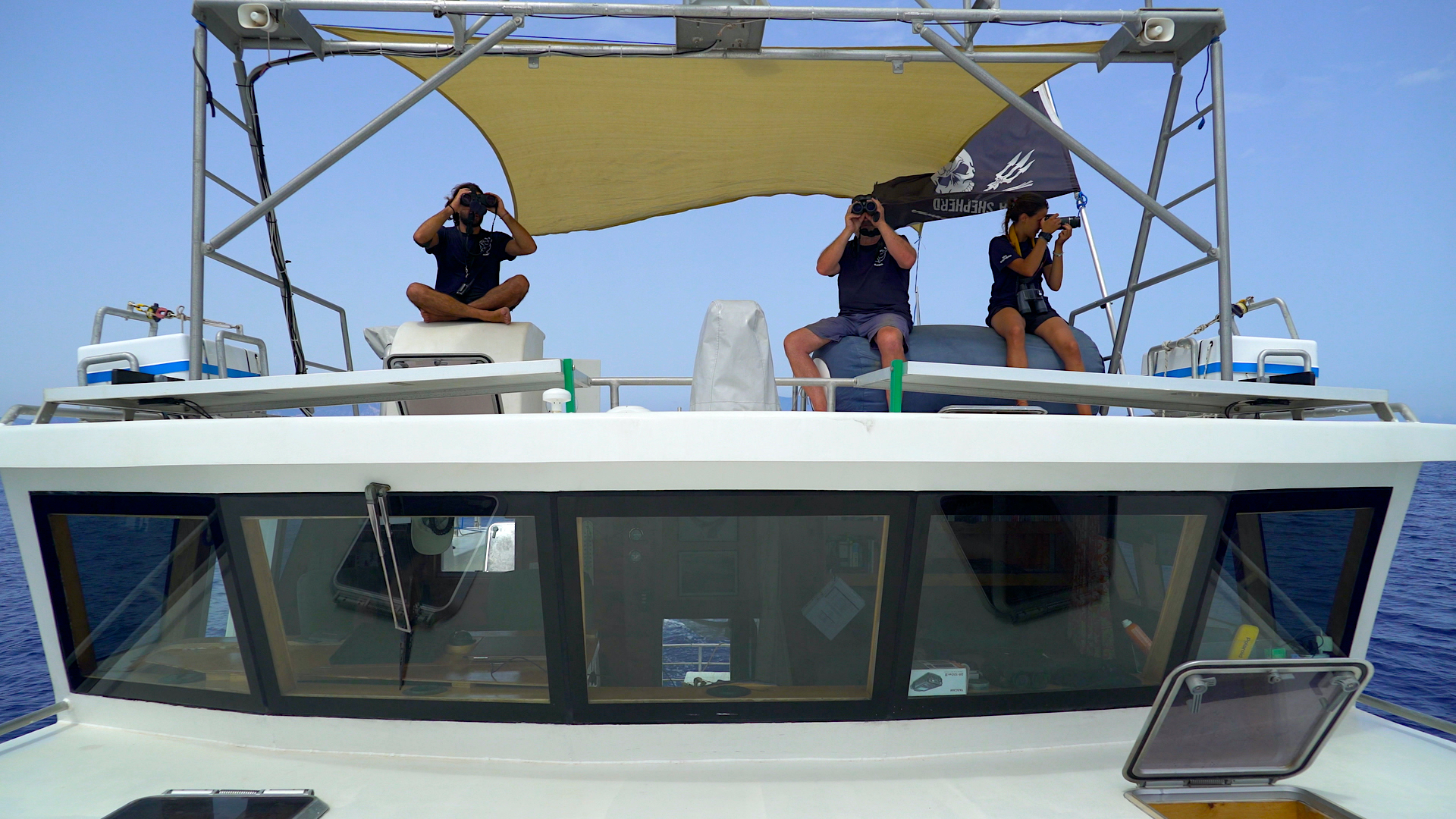 Personnes sur un bateau observant avec des jumelles