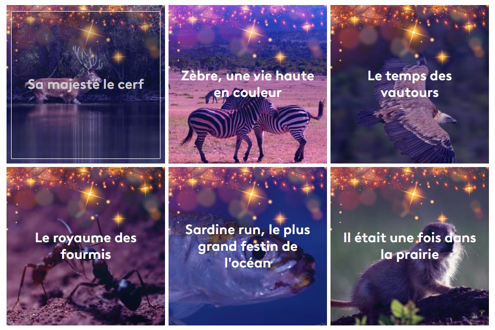 Les animaux de Noël