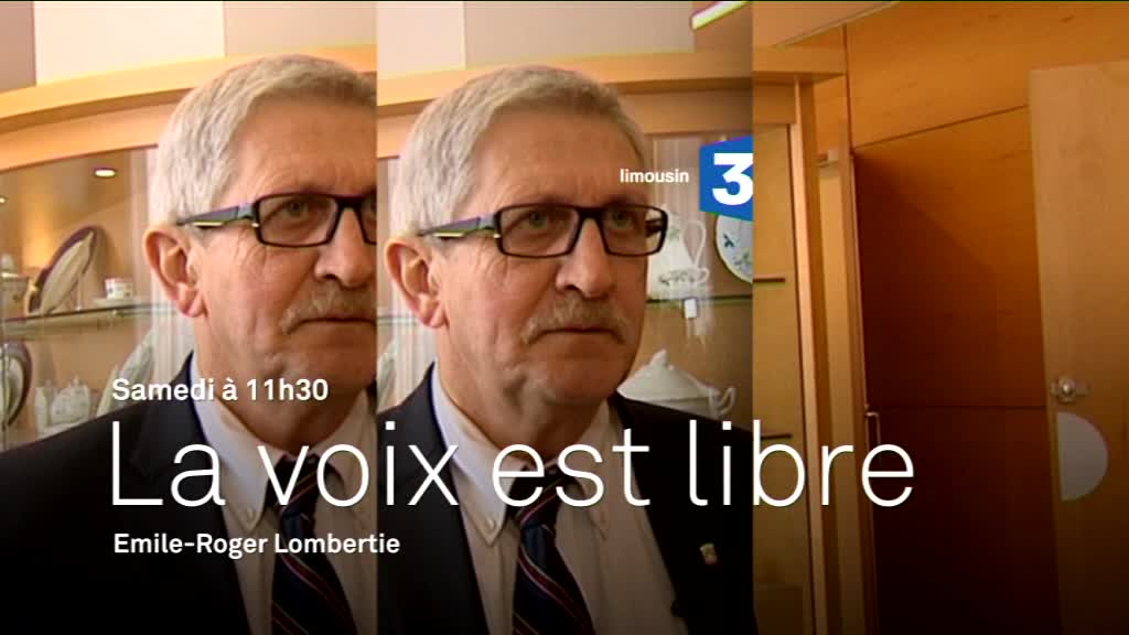 Visuel BA LVEL Limouisn 19 mars 2016