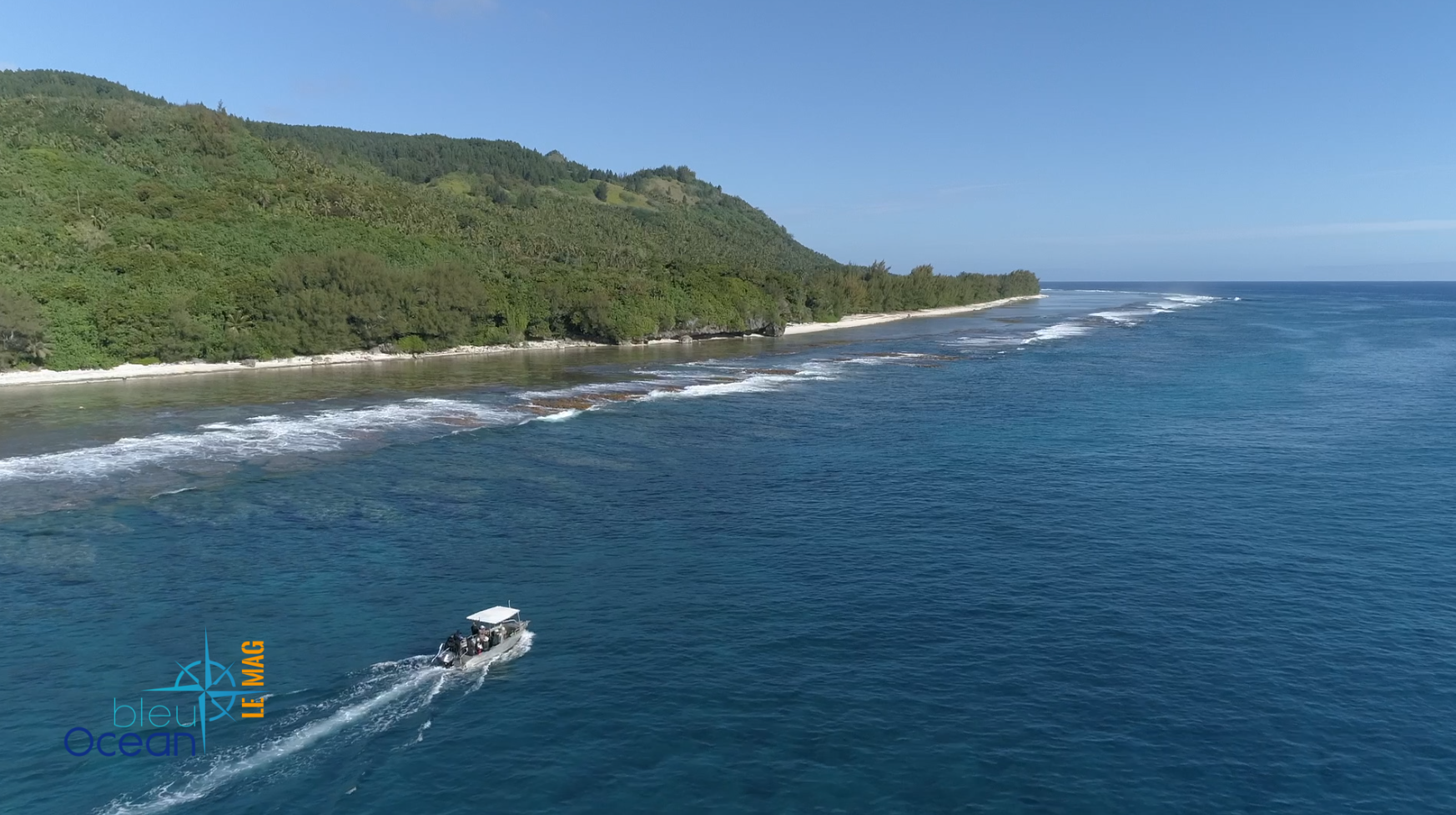 Teva, guide et observateur de baleines