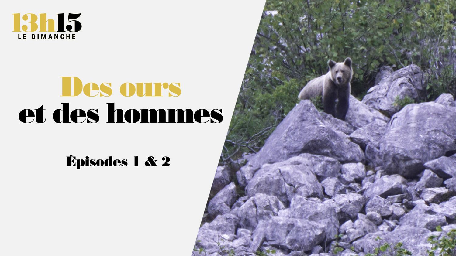 des ours et des hommes épisodes 1 et 2