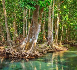 L'eau, notre bien commun
