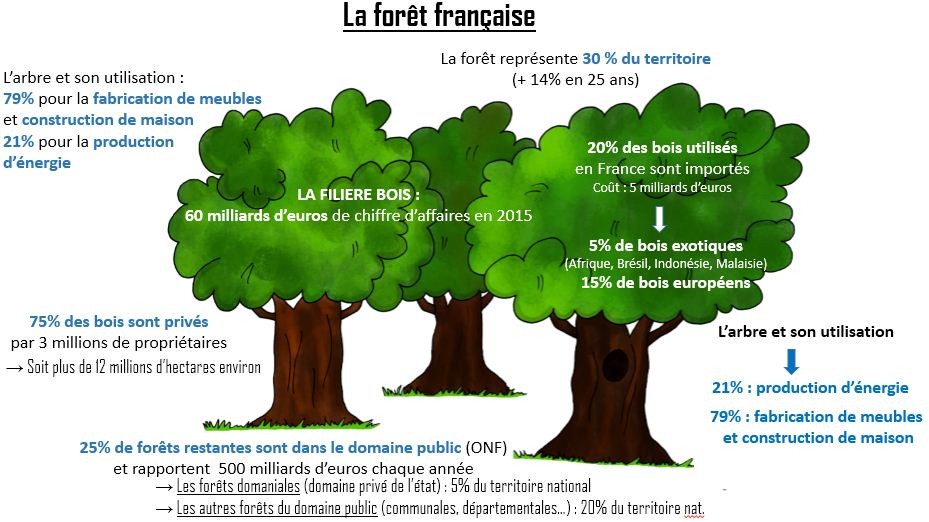 La forêt française