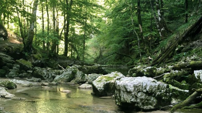 Virée sportive dans le Haut-Jura : C'est là ! en Bourgogne Franche-Comté - Un magazine réalisé par Loïc Mahé / © Hanami