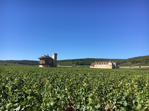 Vignoble Côte d'Or