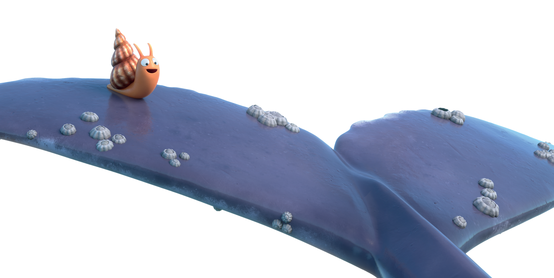 A balena é a curnetta