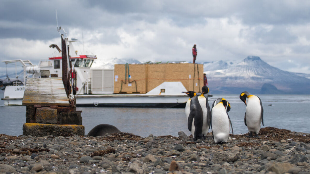 Iles Kerguelen