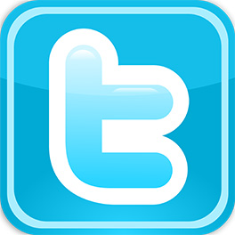 Logo Twitter