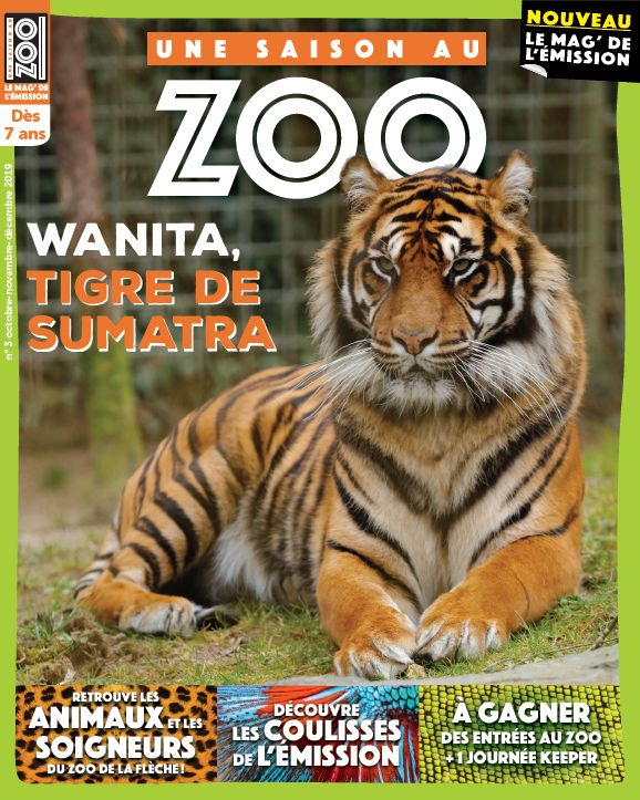 Le tigre Wanita