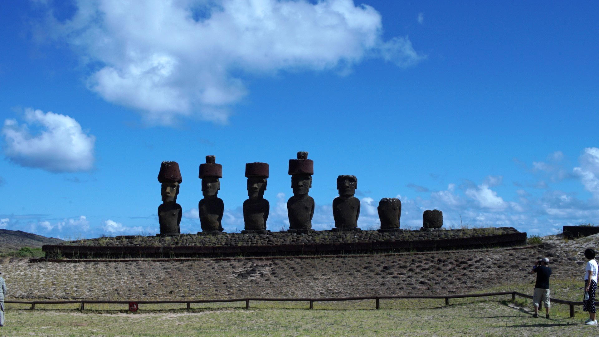 MOAI 