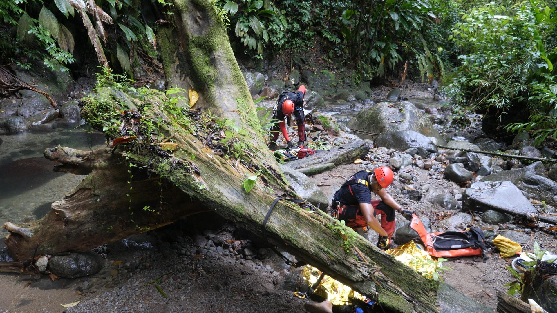 Immersion en Outre-Mer : Martinique