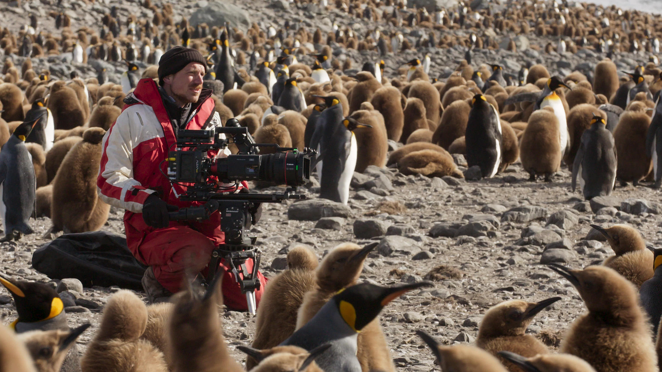 Le cameraman Rolf Steinmann