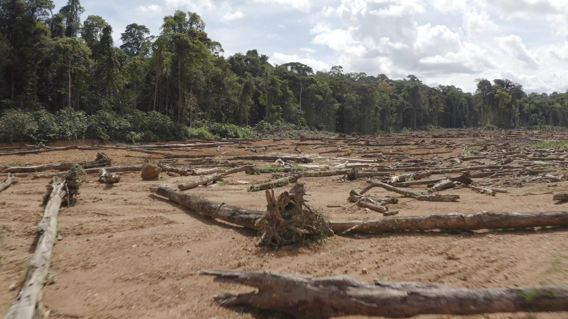 PAC forêts