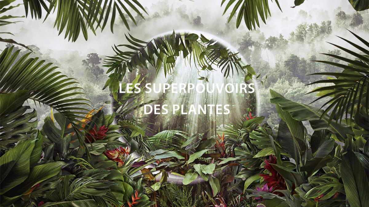 Superpouvoirs des plantes