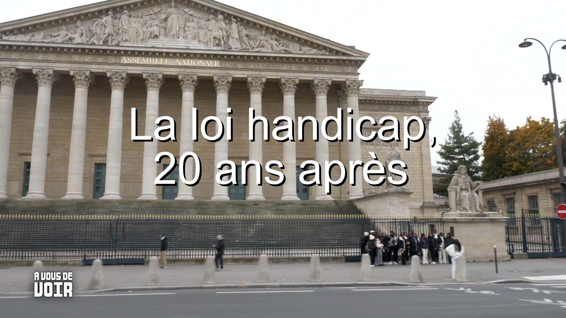 La loi handicap, 20 ans après