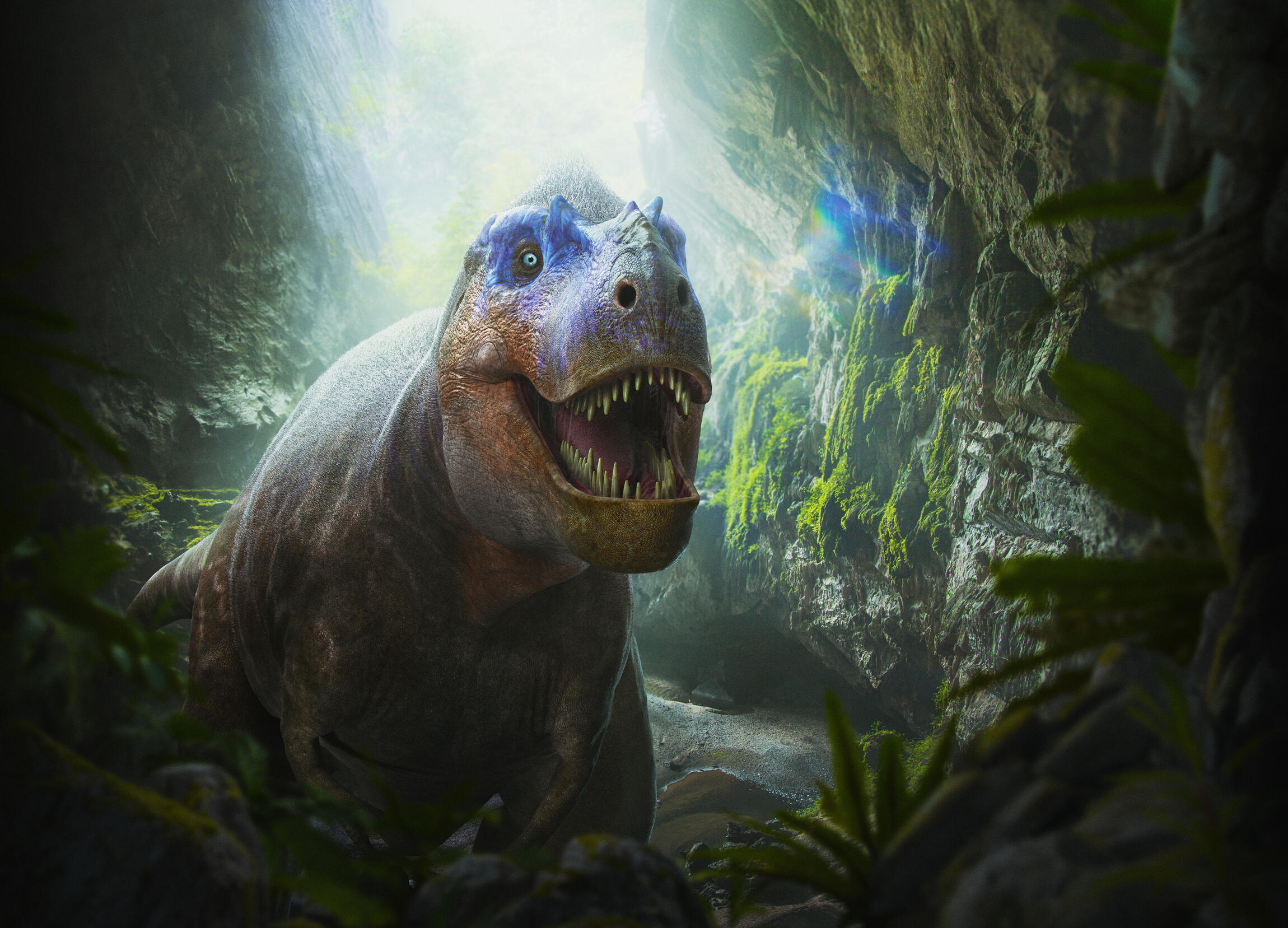 Sur la terre des dinosaures / Rose