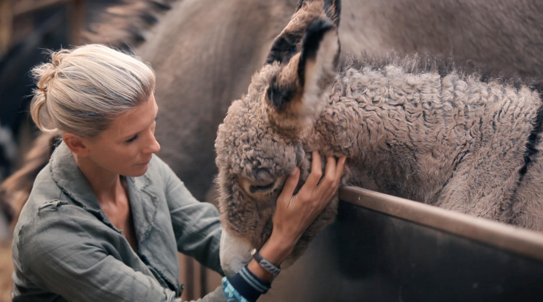 helene et les animaux