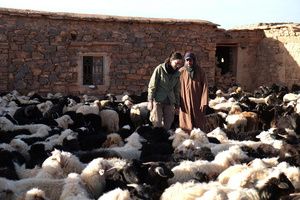 Faut pas rêver au Maroc, sur la route des Oasis