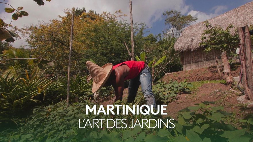 Martinique, l'art des jardins