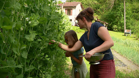 jardin nourricier
