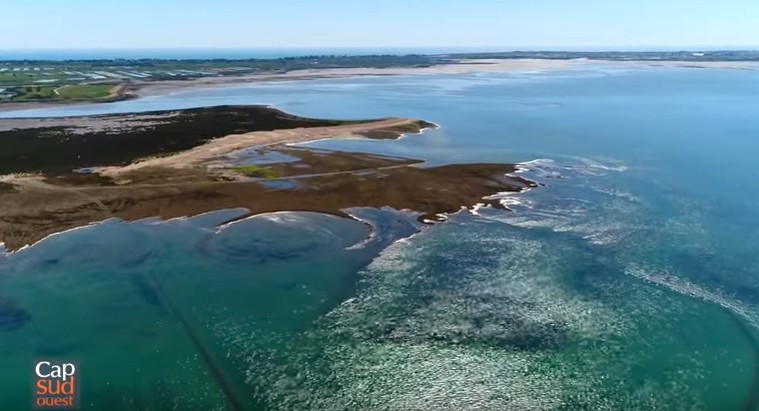 Ile de Ré