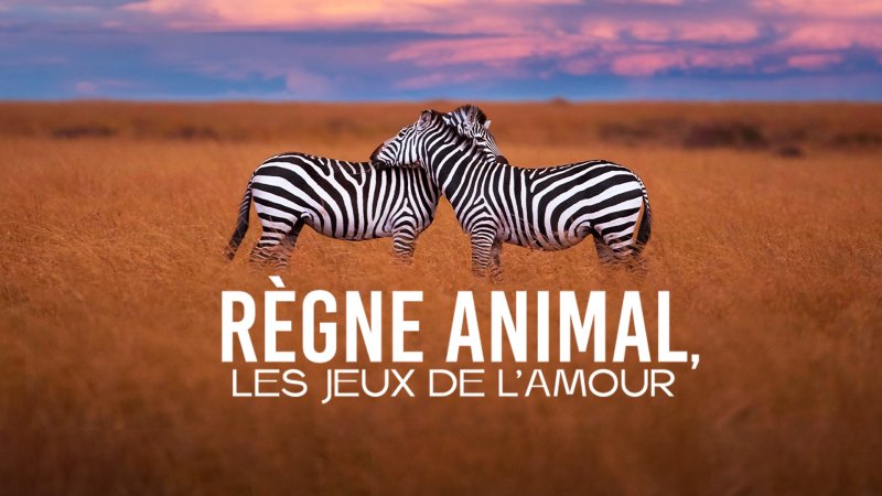 règn animal