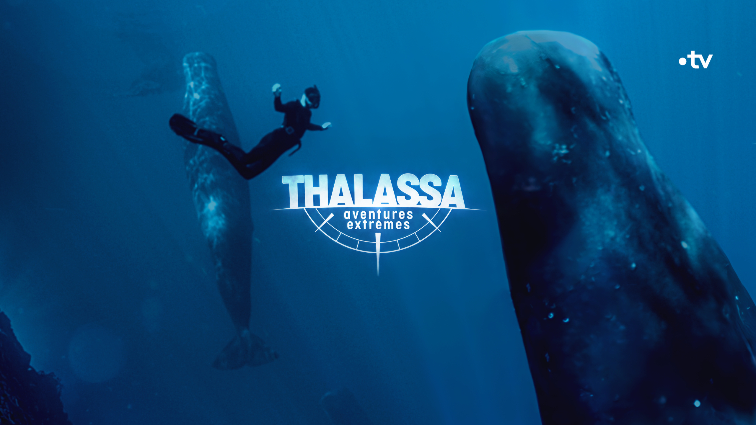 Thalassa, aventures extrêmes