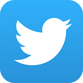 Logo Twitter