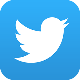 Logo Twitter 2