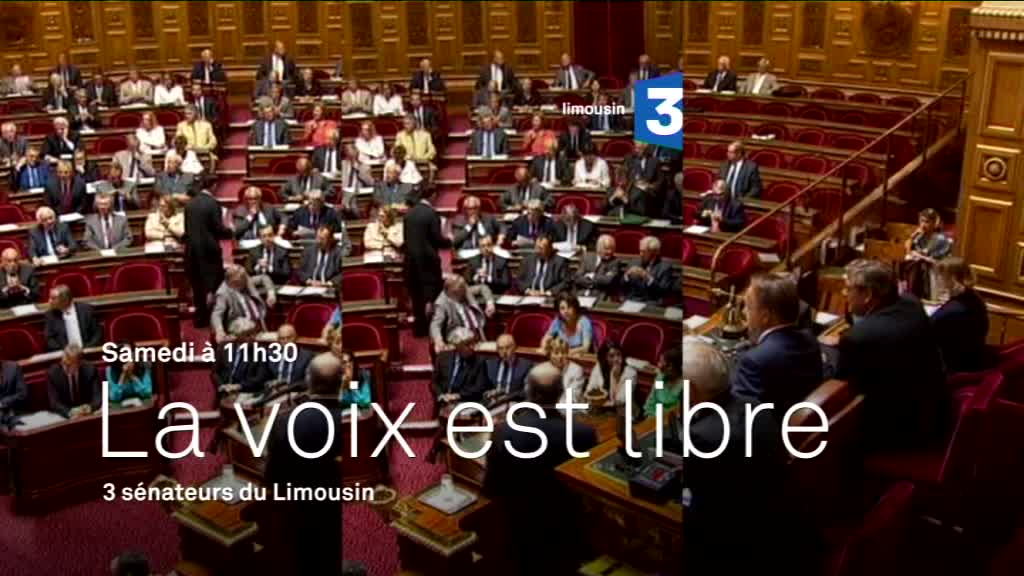 Visuel BA La voix est libre