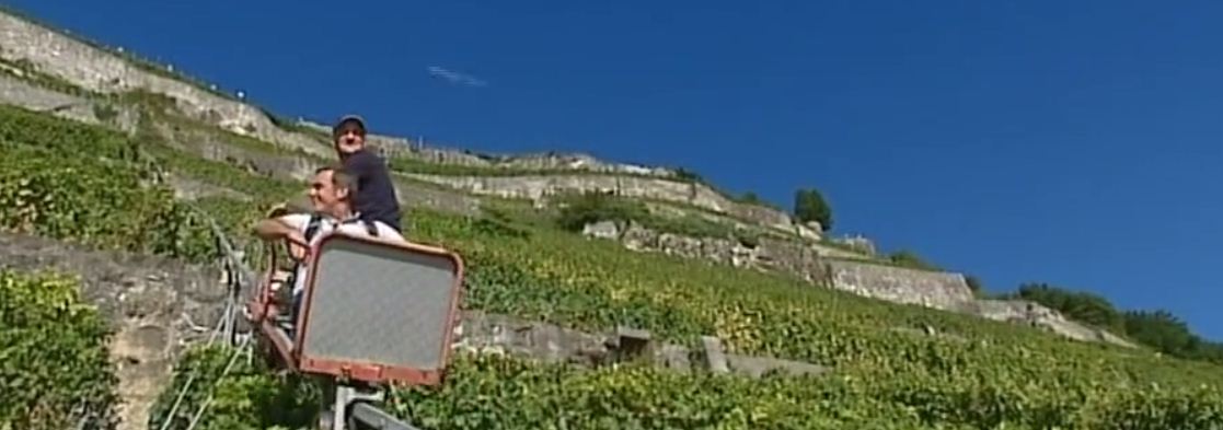 Vendanges verticales avec Laurent Guillaume