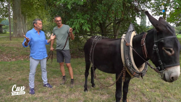 Eric à la rencontre des ânes maraichers / © France 3 Nouvelle-Aquitaine