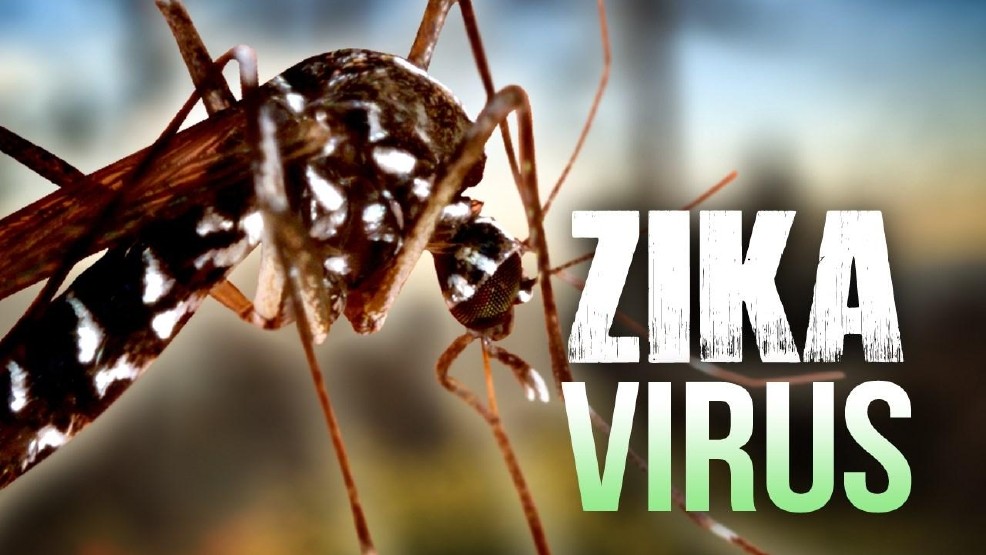 virus zika