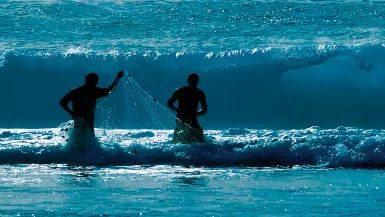 Rahui, le lagon en partage