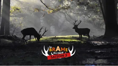 Le brame du cerf saison 2