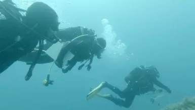 Les héros du patrimoine - ils veulent sauver l'océan