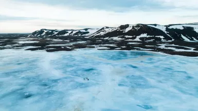 Sur les traces du plus ancien ADN