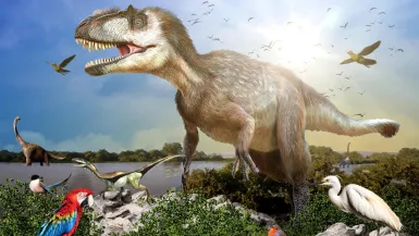 La fabuleuse histoire des oiseaux