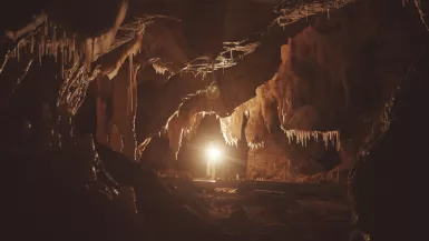 Chauvet, voyage aux origines