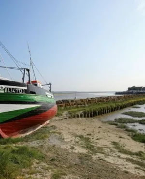 BAIE DE SOMME BAIE DE SOMME