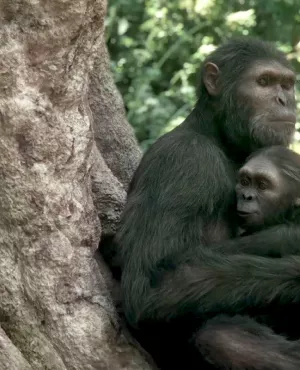 © FTV / NHK / Autentic / CuriosityStream / PTS / S4C NOS ANCÊTRES LES HOMINIDÉS
